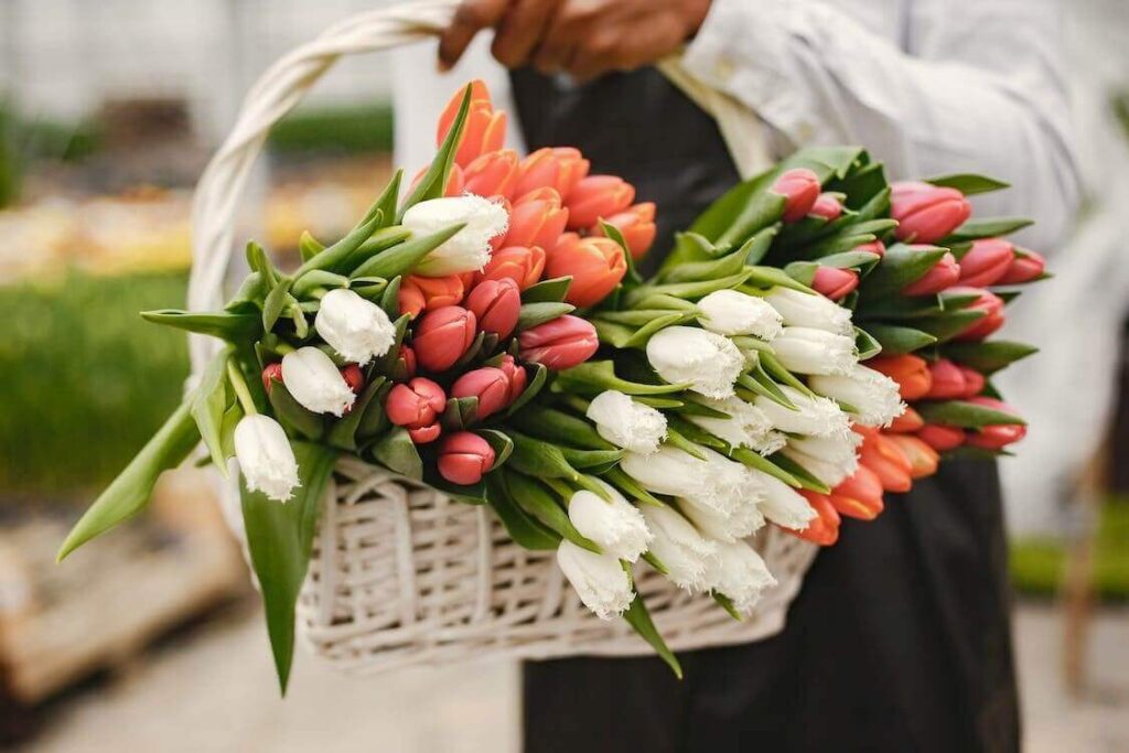 Same-Day Flower Delivery