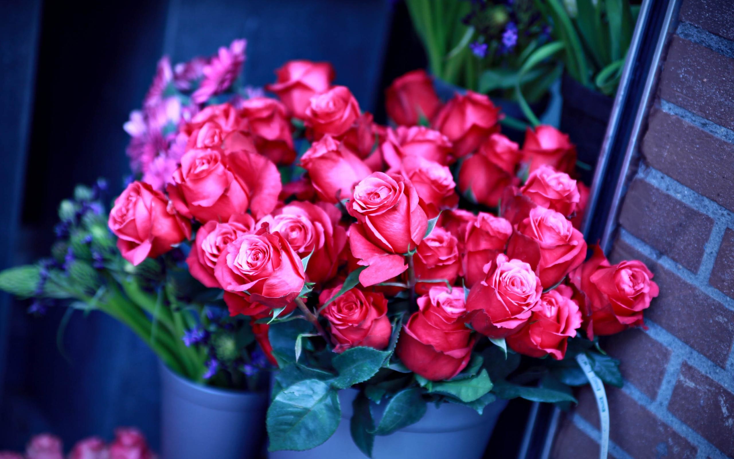 Blooms at Your Doorstep: Discovering the Convenience of Sydney Flower Delivery Services