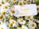 birthday flower