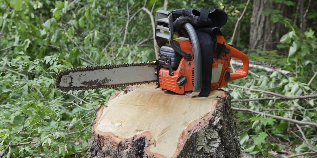 arborist hills district