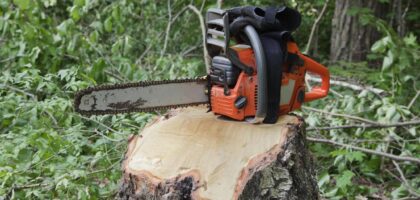 arborist hills district