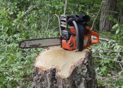 arborist hills district