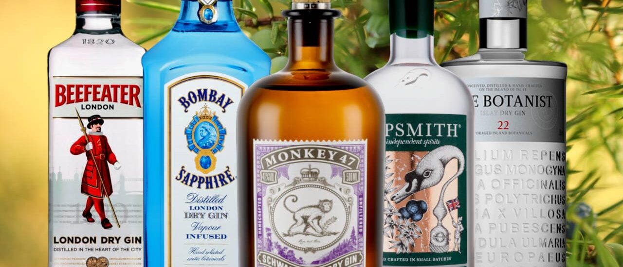 Best Gin Gifts