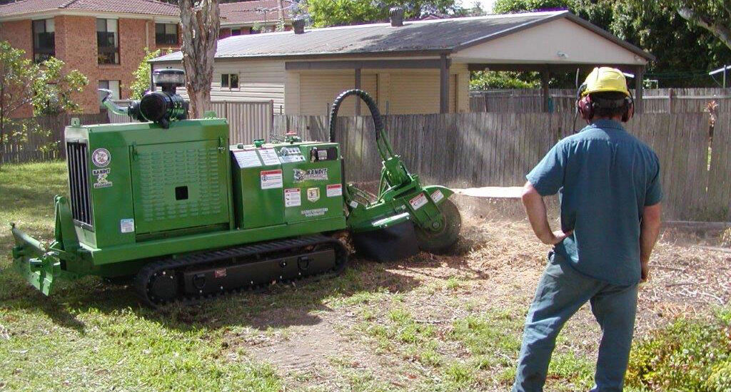 Stump Grinding in Sydney: What Happens After the Tree Is Gone?
