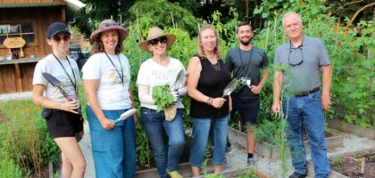 Sydney Tree Removal: A Sociocultural View on Landscape and Identity