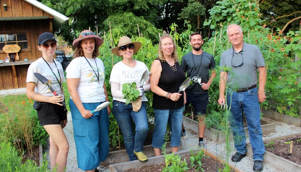 Sydney Tree Removal: A Sociocultural View on Landscape and Identity