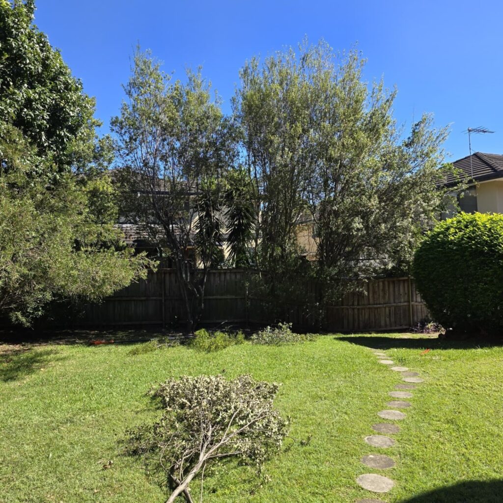 Sydney Tree Removal: A Sociocultural View on Landscape and Identity